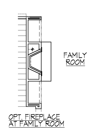 Fireplace in Family Room