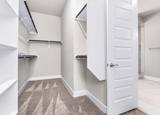 Master Closet