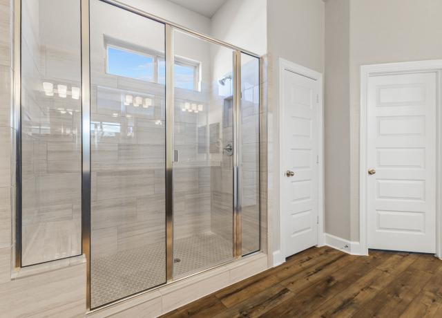 139 Pradera Ridge Primary Shower