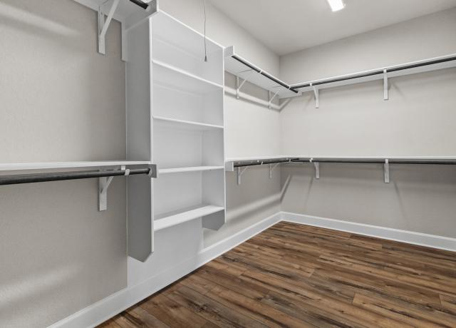 139 Pradera Ridge Primary Closet