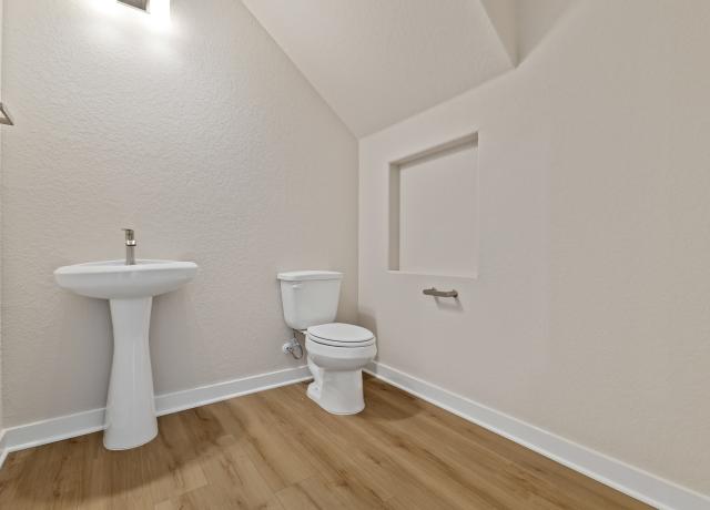 170 Vertex Loop powder 